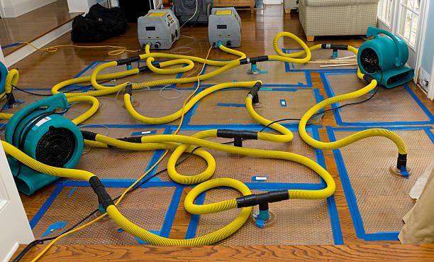 Professional Crawl Space Water Removal technician working in Conway, WA